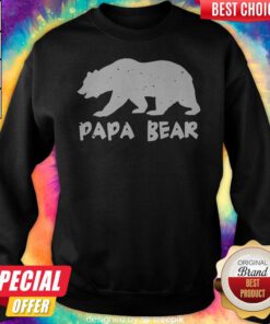 Nice Papa Bear Funny Matching Sweatshirt