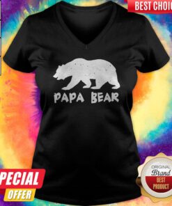 Nice Papa Bear Funny Matching V-neck