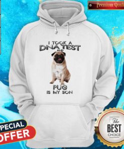 Original I Took A DNA Test And Pug Is My Son Hoodie