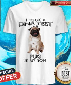Original I Took A DNA Test And Pug Is My Son V-neck