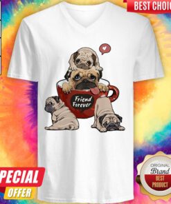 Pretty Pugs Friend Forever Coffee Heart V-neck