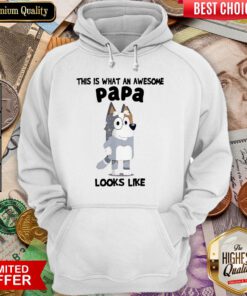 Good Nice Bandit Heeler This Is What An Awesome Papa Looks Like Hoodie