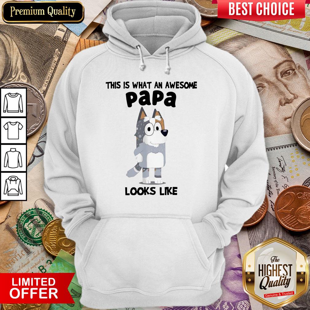 Good Nice Bandit Heeler This Is What An Awesome Papa Looks Like Hoodie