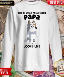 Good Nice Bandit Heeler This Is What An Awesome Papa Looks Like Sweatshirt