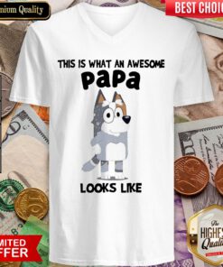 Good Nice Bandit Heeler This Is What An Awesome Papa Looks Like V-neck