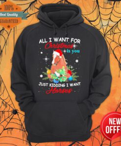 All I Want For Christmas Is You Just Kidding I Want Horses Funny Hoodie