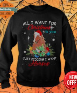 All I Want For Christmas Is You Just Kidding I Want Horses Funny Sweatshirt