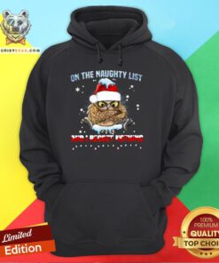 Cute Owl On The Naughty List And I Regret Nothing Christmas Hoodie - Design By Teeshirtbear.com
