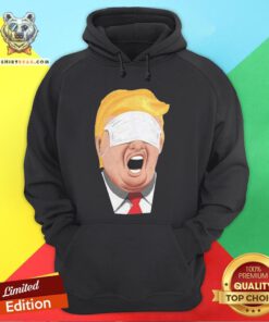 Nice Trump Is An Idiot Sarcasm Hoodie