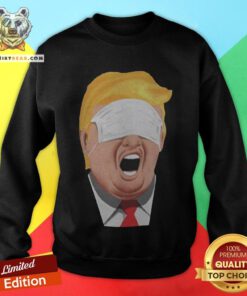Nice Trump Is An Idiot Sarcasm Sweatshirt