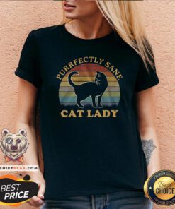 Perfect Cat Lady Purfectly Sane Vintage V-neck - Design By Teeshirtbear.com