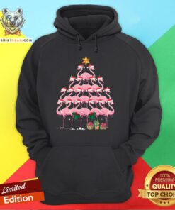 Pretty Flamingo Christmas Ornament Tree Xmas Mom Dad Gift Hoodie - Design By Teeshirtbear.com