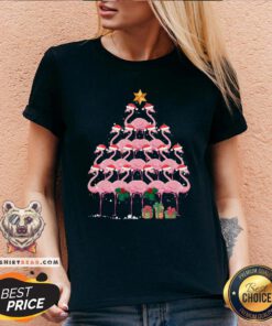 Pretty Flamingo Christmas Ornament Tree Xmas Mom Dad Gift V-neck - Design By Teeshirtbear.com