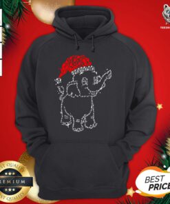 Beautiful Elephant Santa Light Christmas Hoodie - Design By Teeshirtbear.com