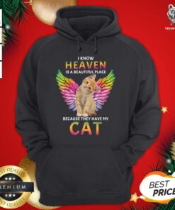 Great I Know Heaven Is A Beautiful Place Because They Have My Cat Hoodie - Design By Teeshirtbear.com