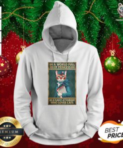 Great Light Attendants Easily Distracted In A World Full Of Princess Be A Flight Attendant Who Loves Cats Hoodie - Design By Teeshirtbear.com