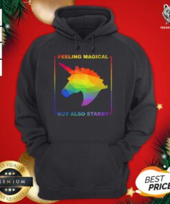 Nice LGBT Unicorn Feeling Magical But Also Stabby Hoodie - Design By Teeshirtbear.com