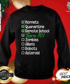 Hornets Quarantine Remote School Zombie Aliens Robots 10th Birthday Sweatshirt - Design By Teeshirtbear.com