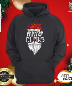 Official Santa Claus Papa Claus Ligh Christmas Hoodie - Design By Teeshirtbear.com