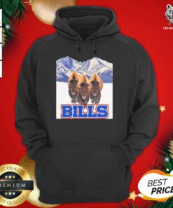 Buffalo Bills NFL Hoodie - Design By Teeshirtbear.com