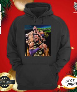 Lebron James 23 And Lion Hollywood Laker Hoodie - Design By Teeshirtbear.com