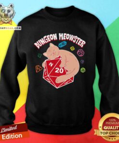 Dungeon Meowster Sweatshirt - Design By Teeshirtbear.com