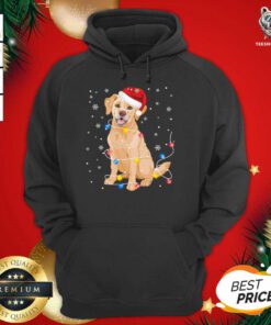 Labrador Dog Santa Hat Christmas Lights Dog Lover Xmas Gift Hoodie - Design By Togethertee.com