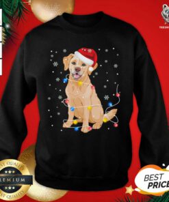 Labrador Dog Santa Hat Christmas Lights Dog Lover Xmas Gift Sweatshirt - Design By Togethertee.com
