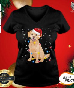 Labrador Dog Santa Hat Christmas Lights Dog Lover Xmas Gift V-neck - Design By Togethertee.com