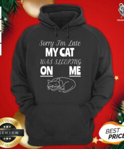 Sorry I’m Late My Cat Was Sitting On Me For Cat Lover Hoodie - Design By Teeshirtbear.com