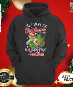 All I Want For Christmas Is You Just Kidding I Want Turtles Hoodie - Design By Teeshirtbear.com