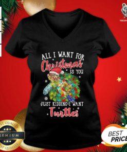 All I Want For Christmas Is You Just Kidding I Want Turtles V-neck - Design By Teeshirtbear.com