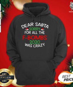 Dear Santa Sorry For All The F Bombs 2020 Was Crazy Hoodie - Design By Teeshirtbear.com
