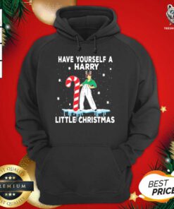 Have Yourself A Harry Little Christmas 2020 Hoodie - Design By Teeshirtbear.com