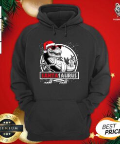 Santasaurus Funny Dinosaur Christmas Hoodie - Design By Teeshirtbear.com