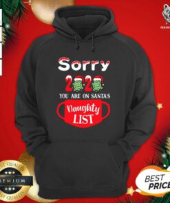 Sorry 2020 You Are On Santa's Naughty List Hoodie - Design By Teeshirtbear.com