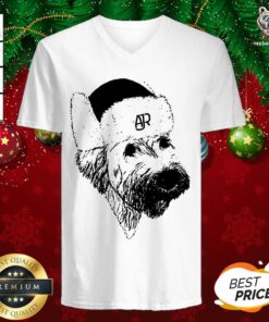 Ajr Merch Ajr Doggy Hat V-neck - Design By Teeshirtbear.com