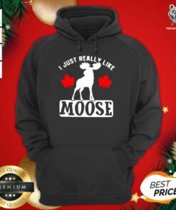 I Just Really Like Moose Hoodie - Design By Teeshirtbear.com