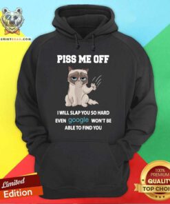 Cat Piss Me Off I Will Slap You So Hard Even Google Won’t Be Able To Find You Hoodie - Design By Teeshirtbear.com