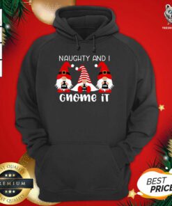 Naughty And I Gnome It Christmas Gnomes Hoodie - Design By Teeshirtbear.com