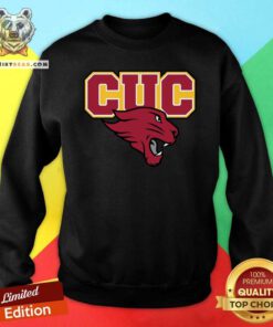 Concordia Chicago Sweatshirt - Design By Teeshirtbear.com