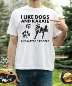 I Like Dogs And Karate And Maybe 3 People Shirt