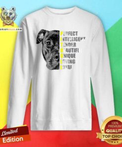 Pit Bull Perfect Intelligent Tender Beautiful Unique Loving Loyal Sweatshirt