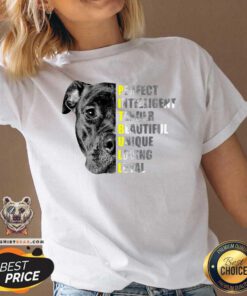Pit Bull Perfect Intelligent Tender Beautiful Unique Loving Loyal V-neck