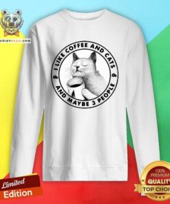 I Like Coffee And Cats And Maybe 3 People Sweatshirt