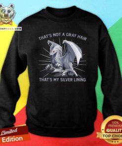 Cool Dragon That Is Not A Gray Hair That Is My Silver Lining Sweatshirt