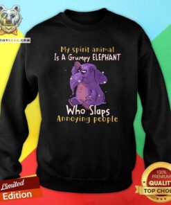 Cute My Spirit Animal Is A Grumpy Elephant Sweatshirt