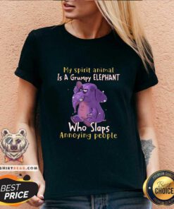 Cute My Spirit Animal Is A Grumpy Elephant V-neck