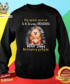 Cute My Spirit Animal Is A Grumpy Hedgehog Who Slaps Annoying People Sweatshirt