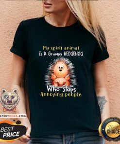 Cute My Spirit Animal Is A Grumpy Hedgehog Who Slaps Annoying People V-neck